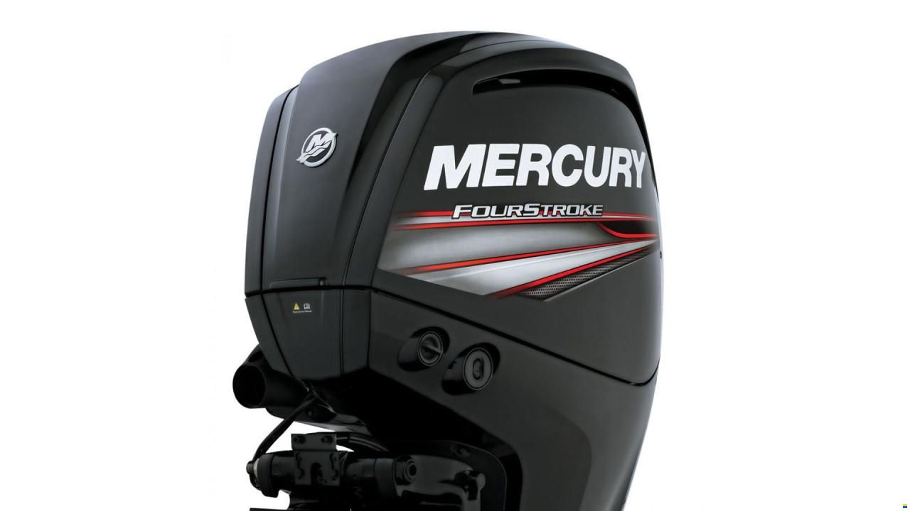 Mercury 100 hk CT ELPT