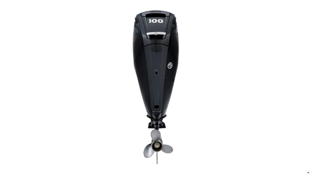 Mercury 100 hk ELPT