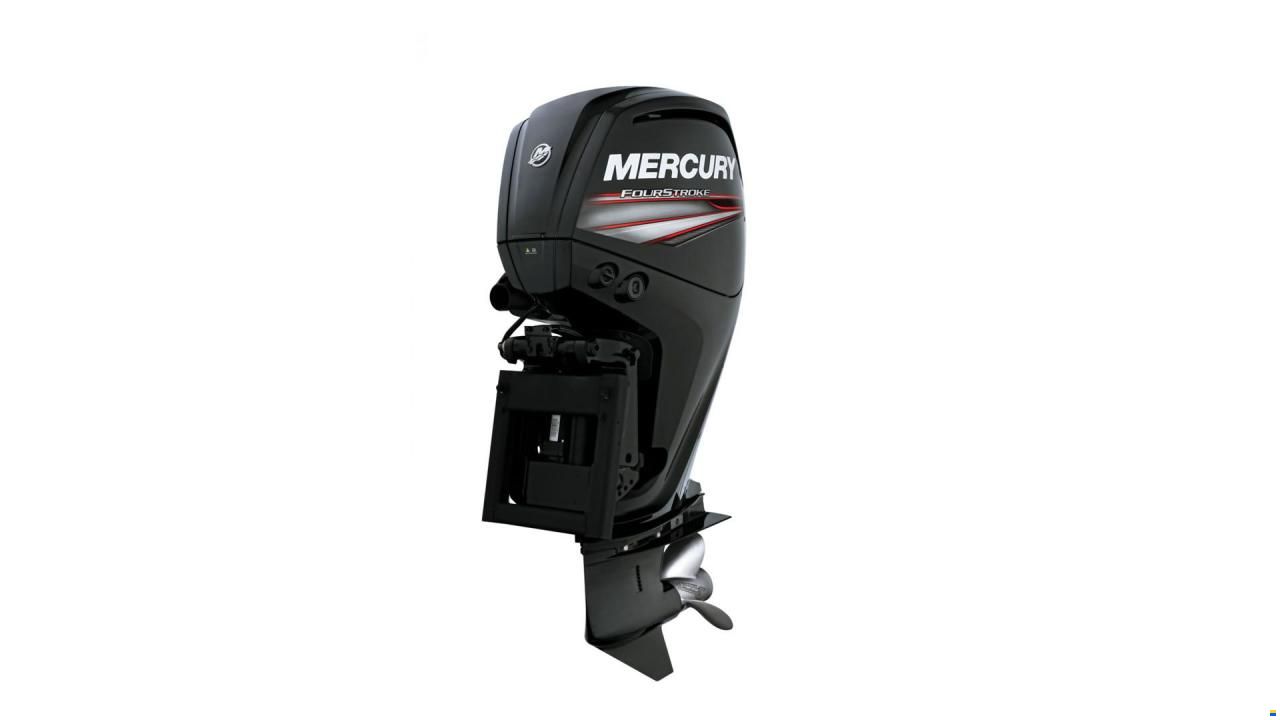 Mercury 100 hk ELPT