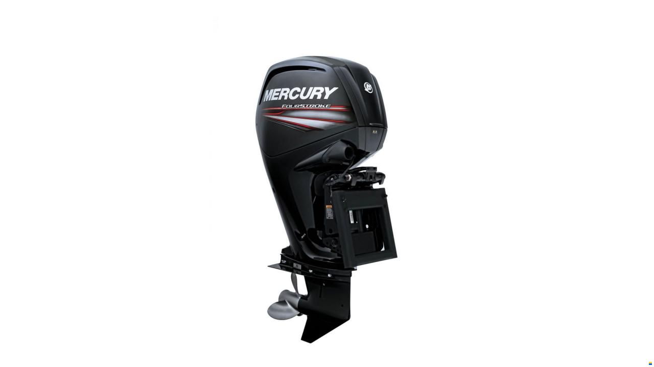 Mercury 100 hk ELPT