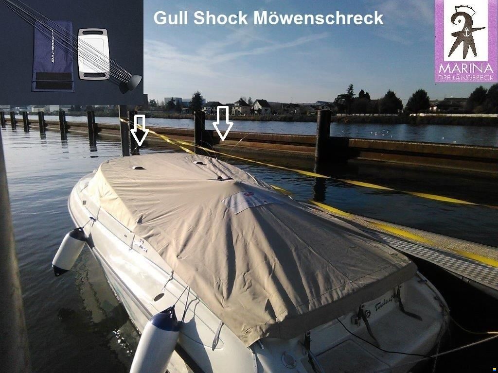 Möwenschreck Gull Shock