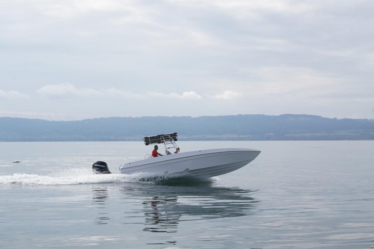 Offshore Performance 810 Open