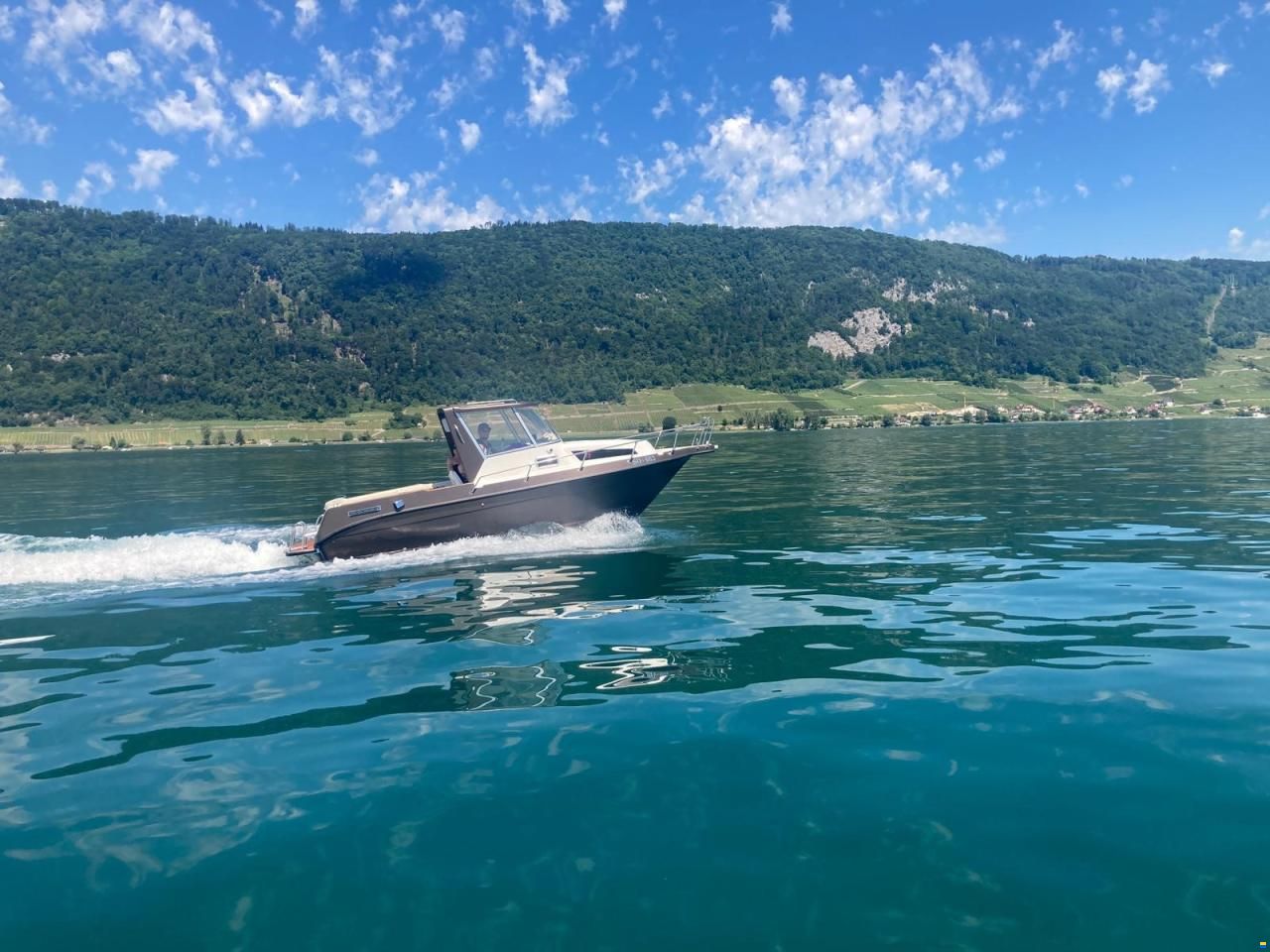 Drago SOROCOS EXPRESS