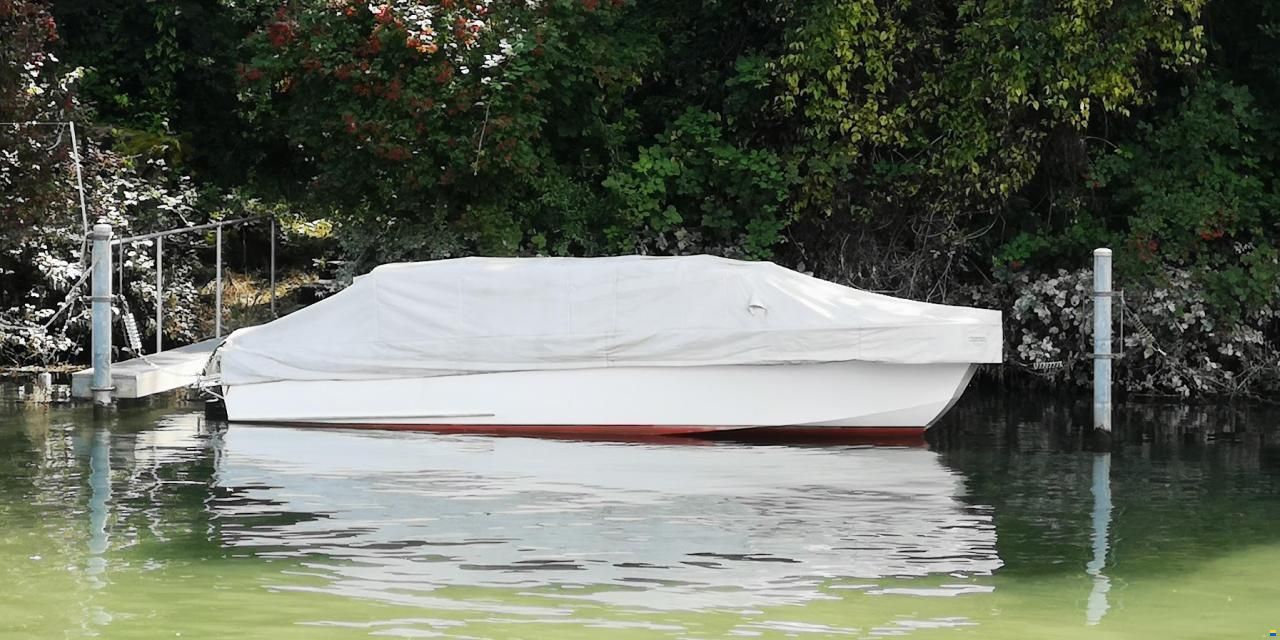 Guggisberg Impala 580