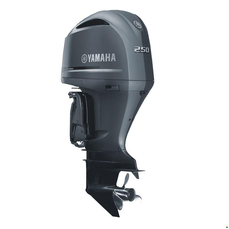 Yamaha F250NCB