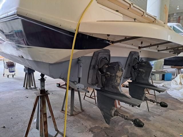 Real Hawk 32
