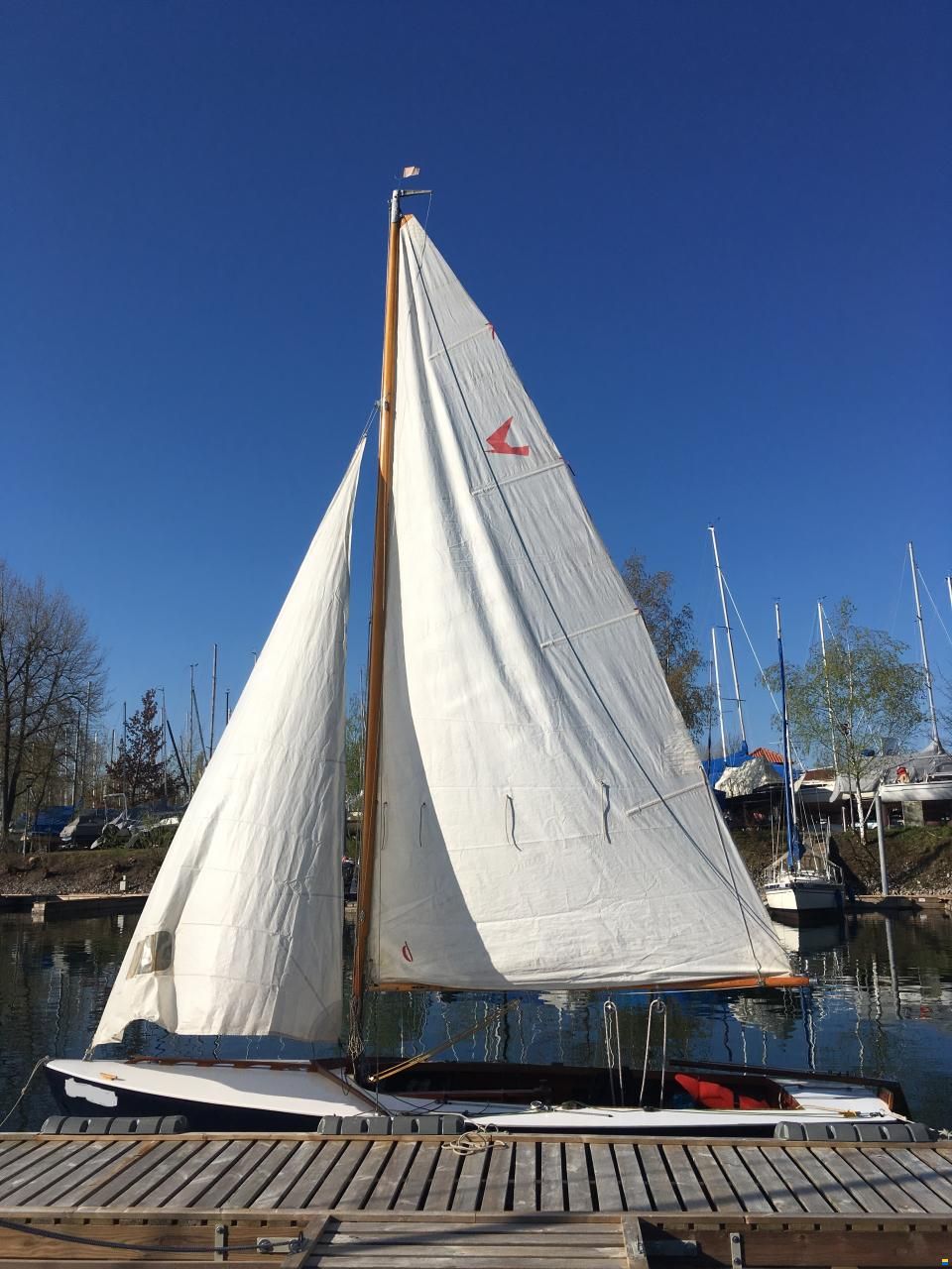 Schwertzugvogel Dennhardt & Hirsch