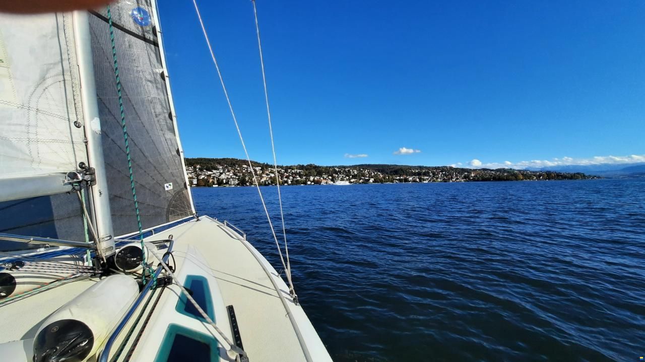 O.L.-Boats International 806