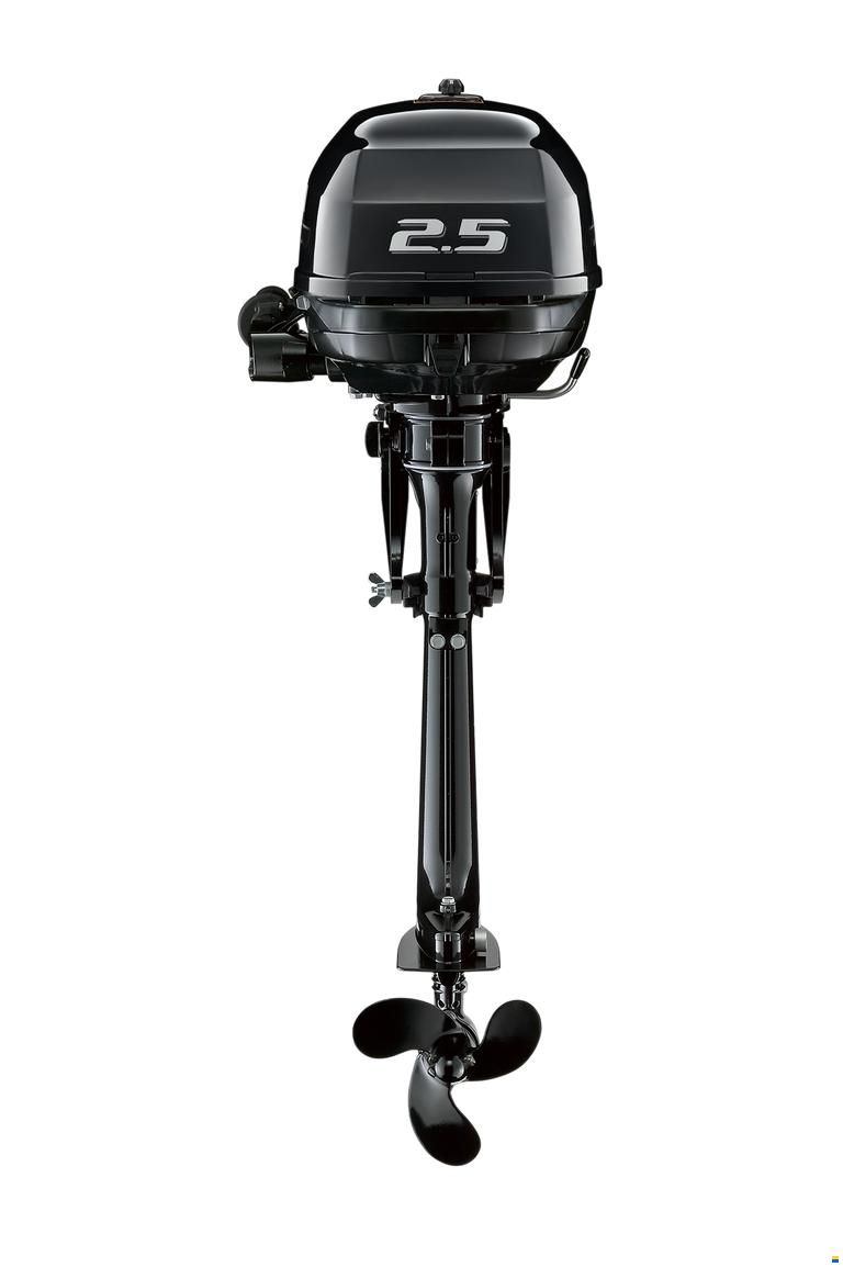 Suzuki DF2.5 (2,5PS Motor Aussenborder)