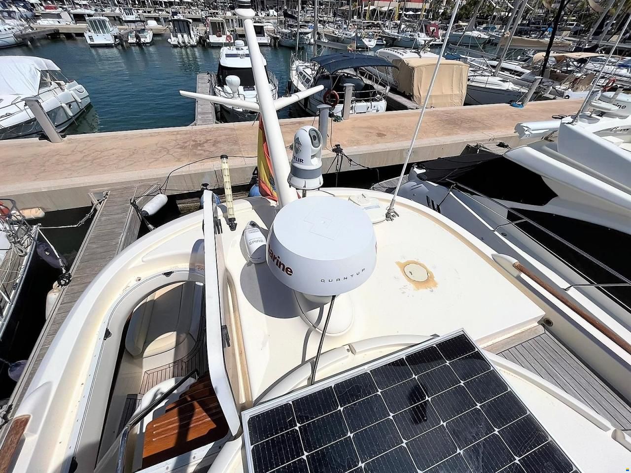 Mochi Craft Dolphin 54