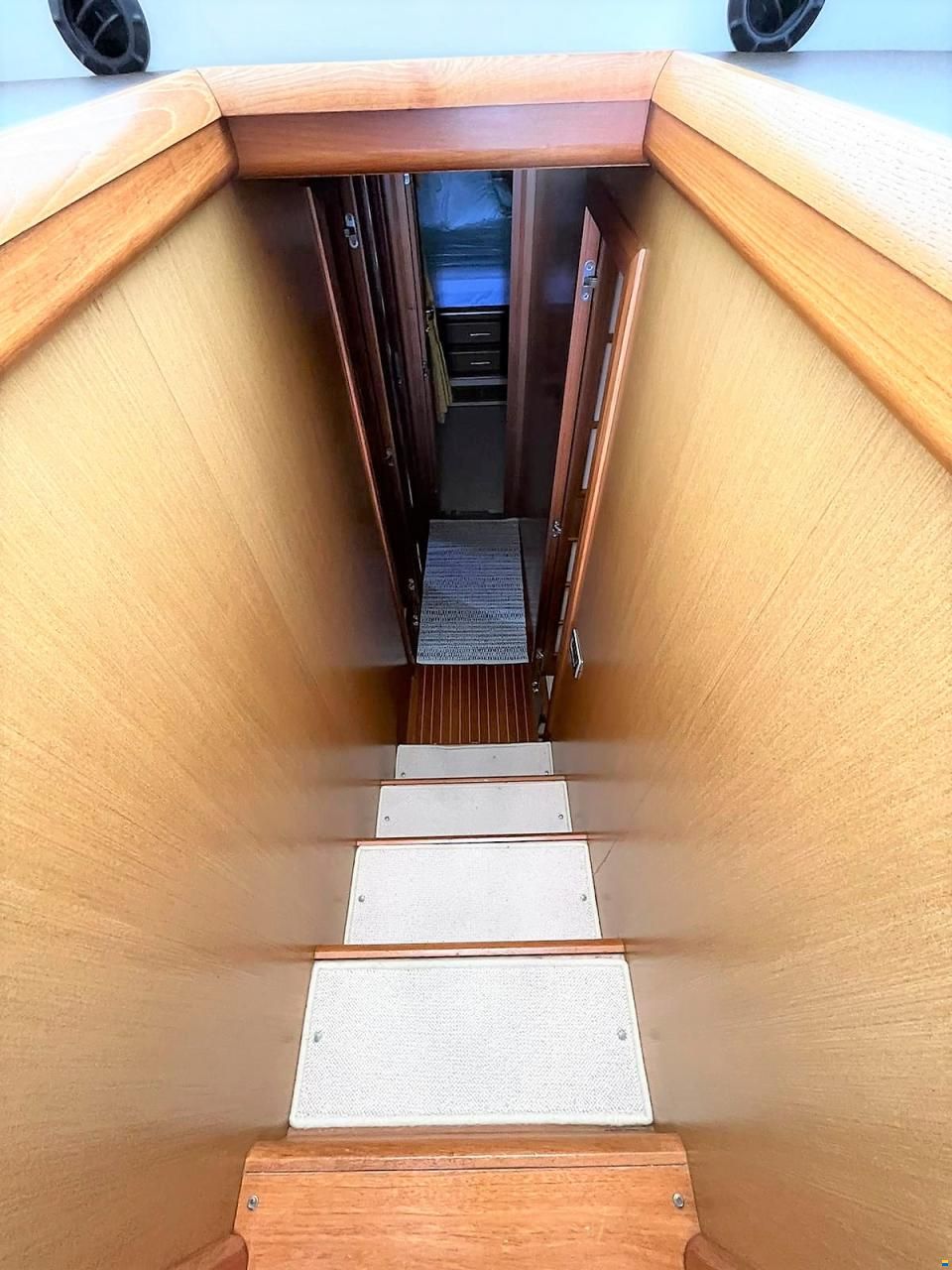 Mochi Craft Dolphin 54