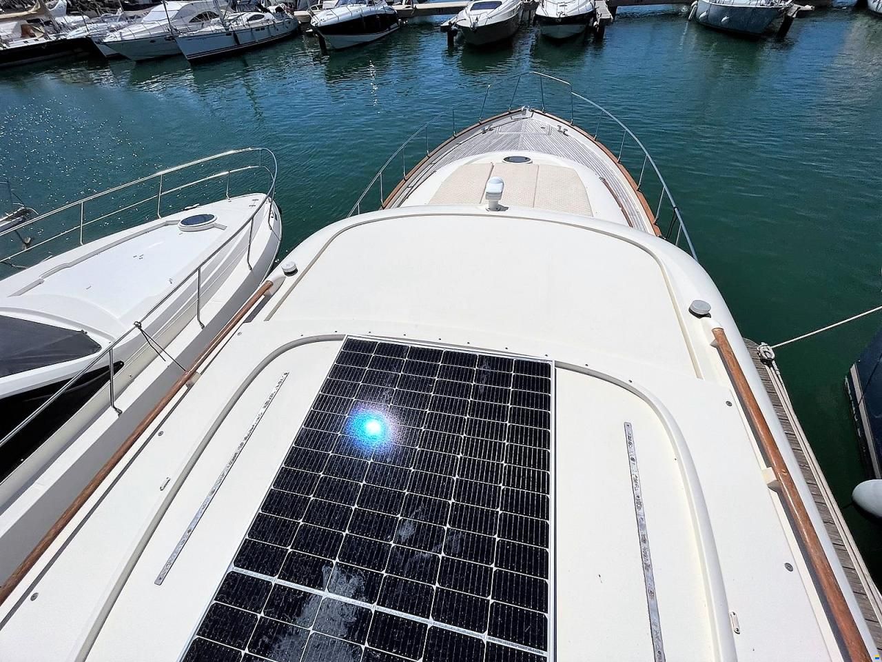 Mochi Craft Dolphin 54