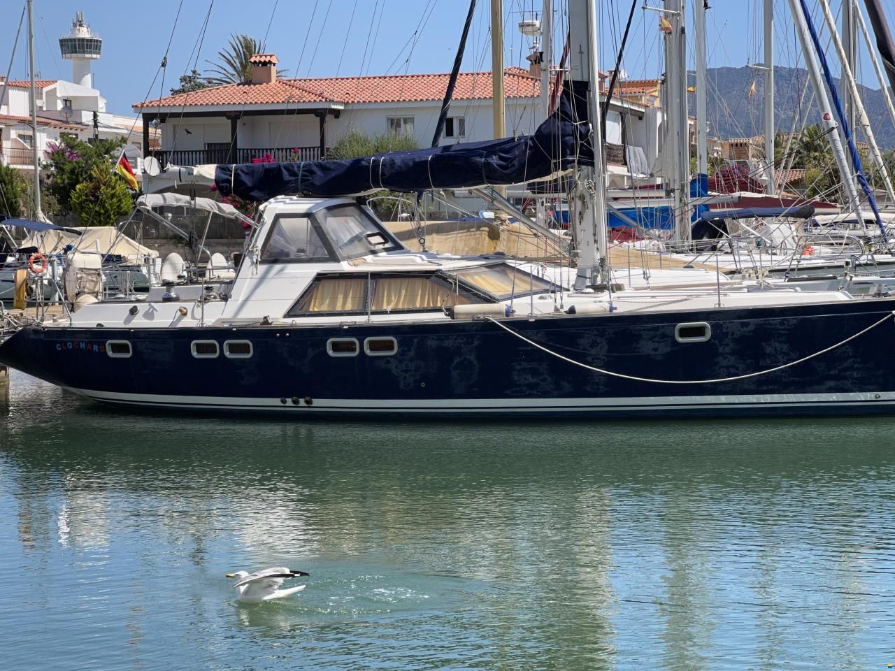 North Wind 43