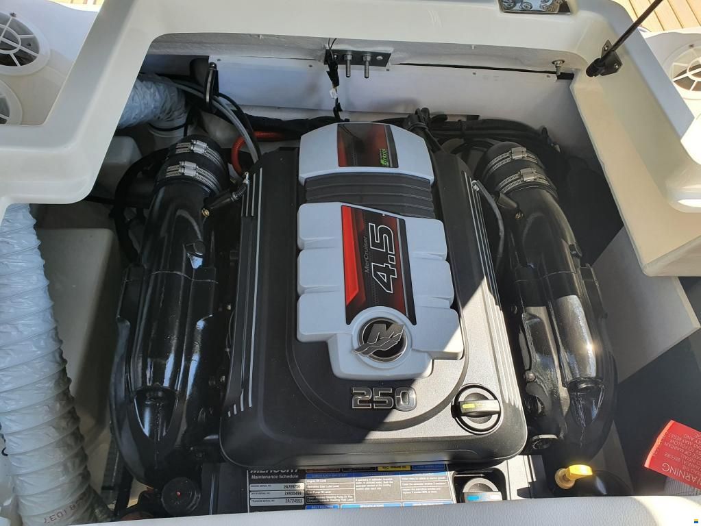 Sea Ray SPX 190  Europa