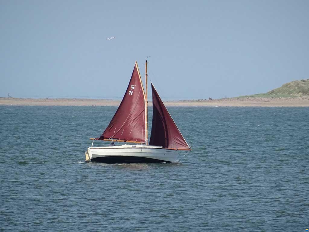 Cornish Crabbers Shrimper 21