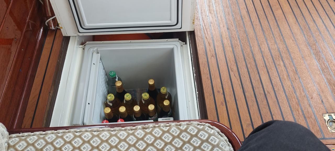 Backdecker