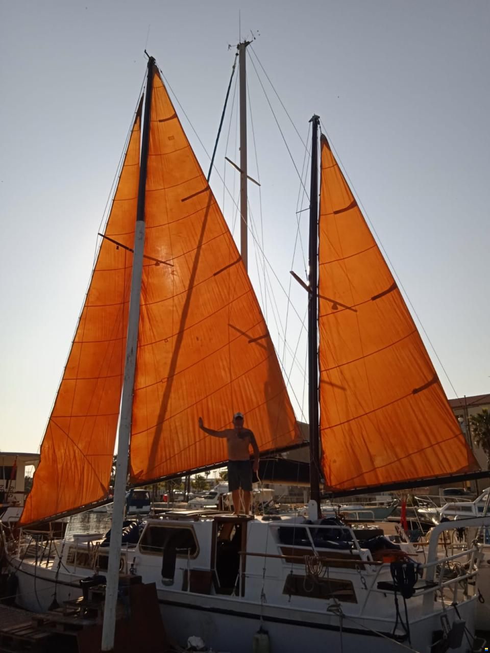 1974 Sea Hawk Seahawk 36 zu verkaufen