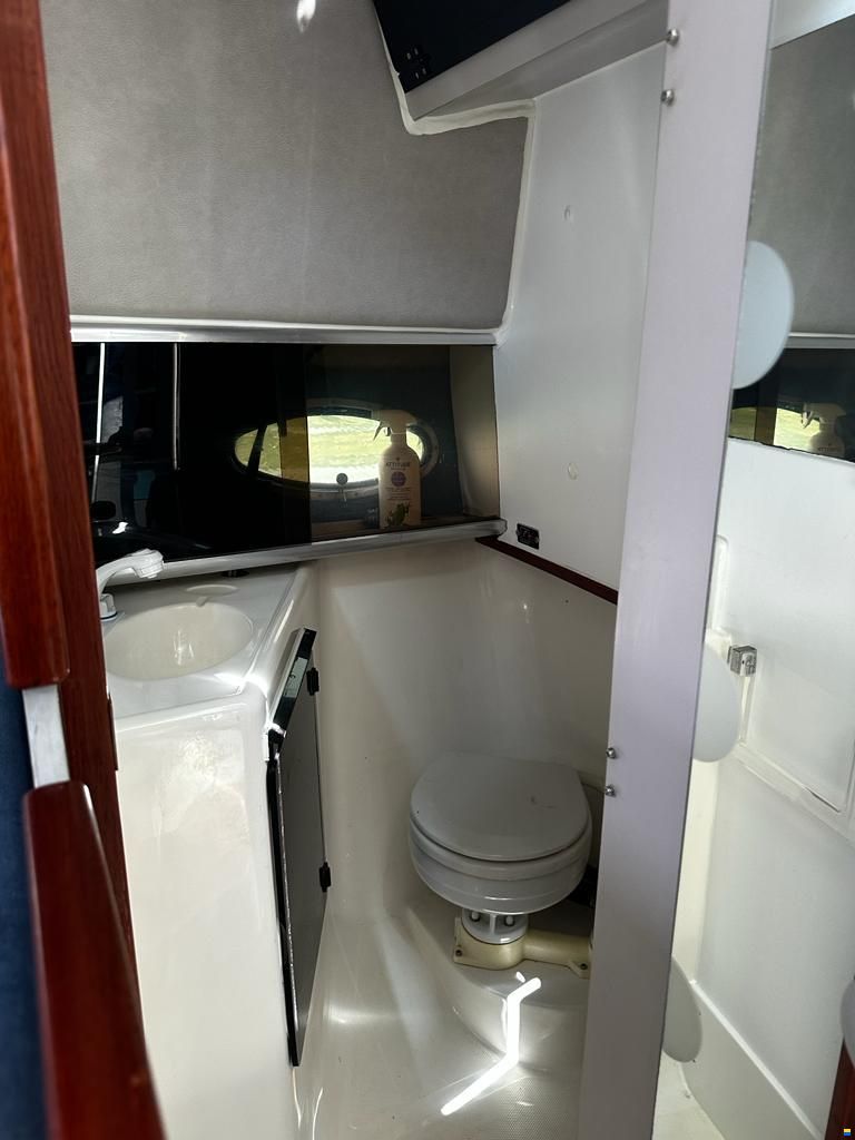 Bayliner Avanti 2950