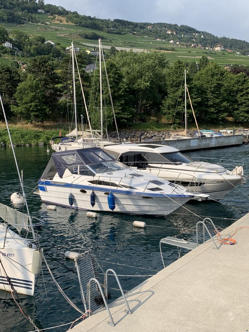 Bayliner Avanti 2950