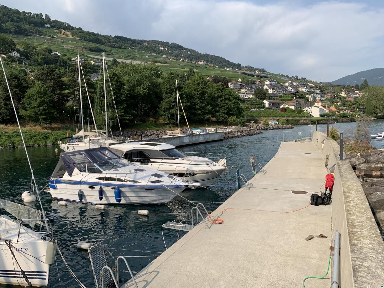 Bayliner Avanti 2950