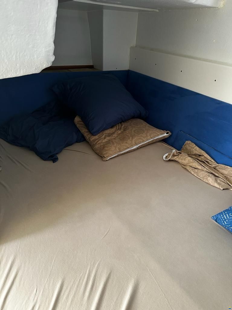 Bayliner Avanti 2950