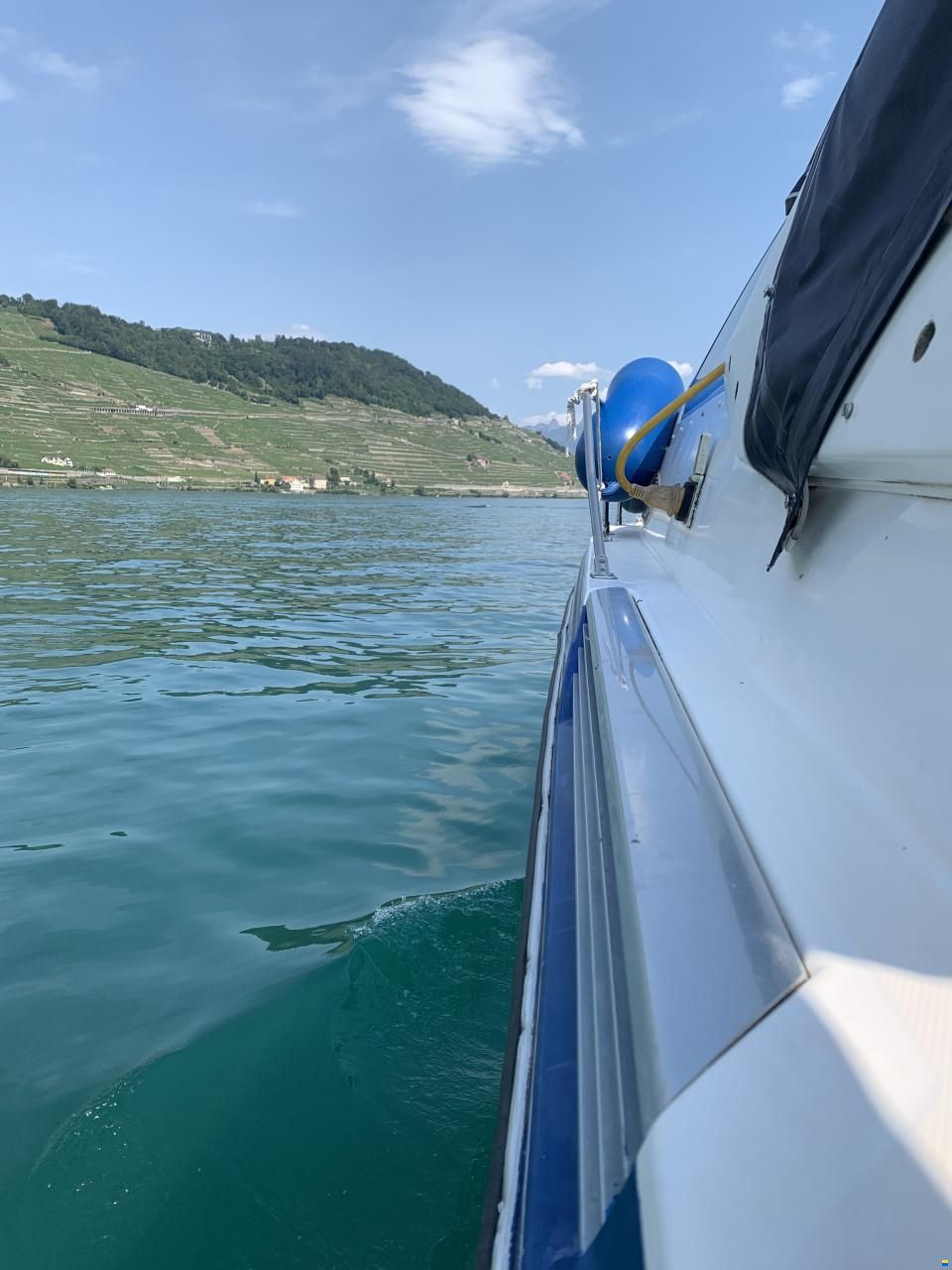 Bayliner Avanti 2950