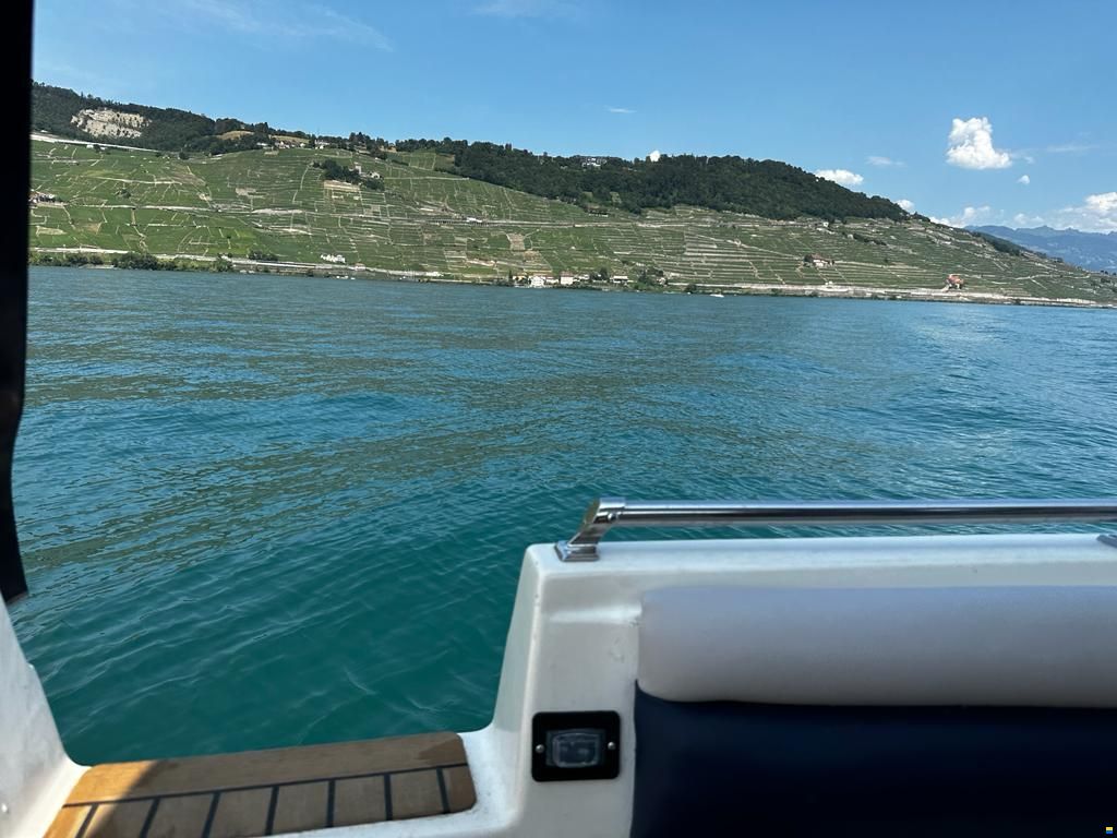 Bayliner Avanti 2950