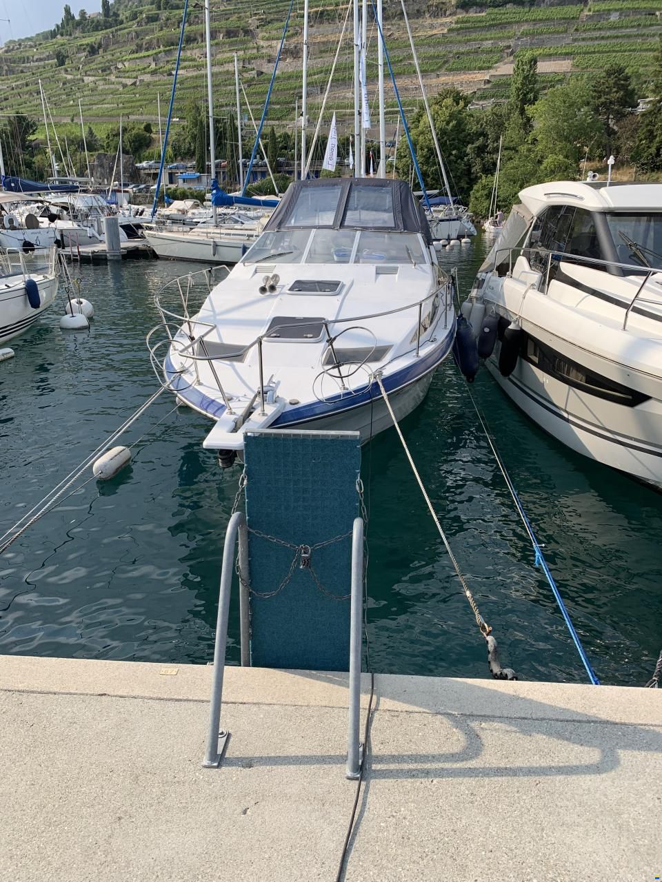 Bayliner Avanti 2950