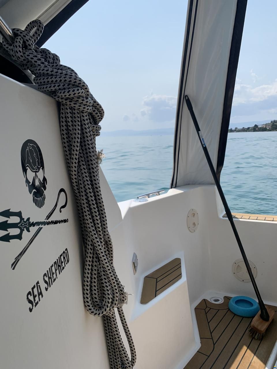 Bayliner Avanti 2950