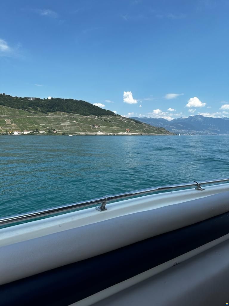 Bayliner Avanti 2950