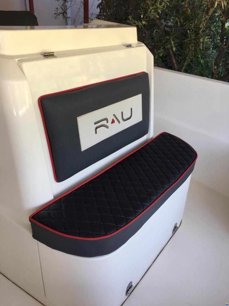 RAU Cholios 490
