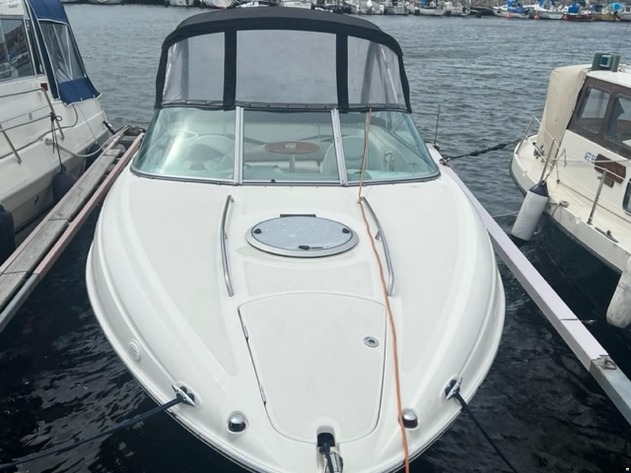 Bayliner Cuddy 802