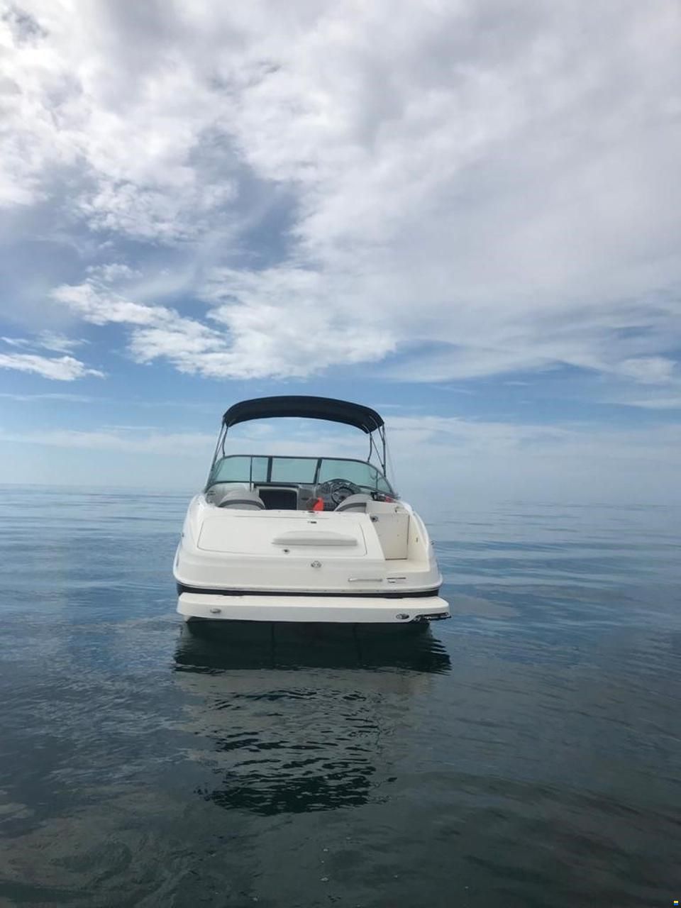 Bayliner Cuddy 802