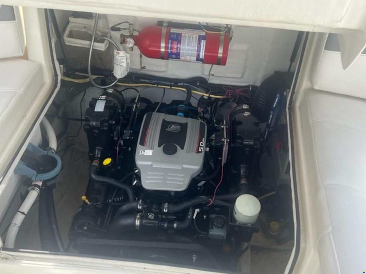 Bayliner Cuddy 802
