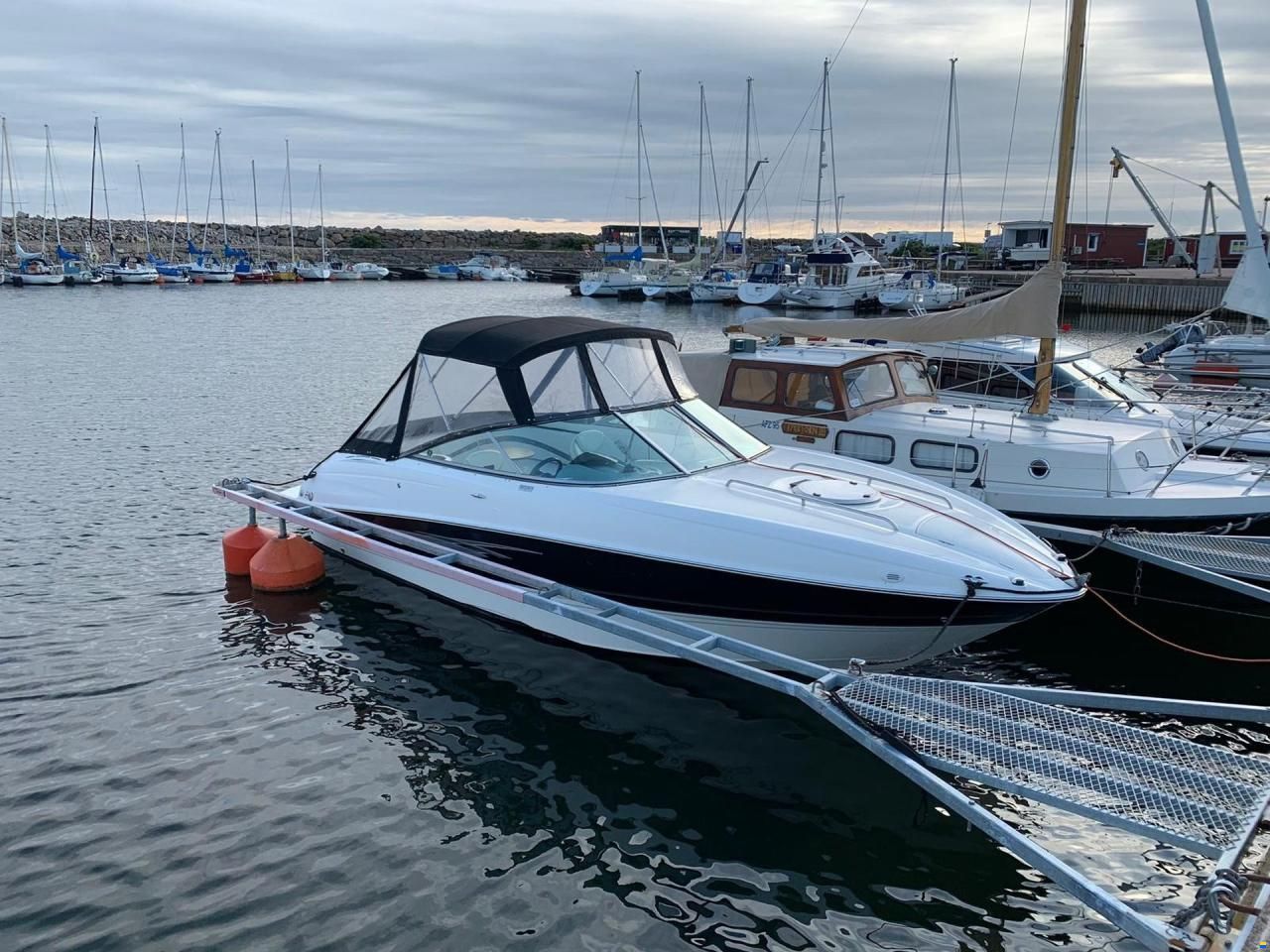Bayliner Cuddy 802