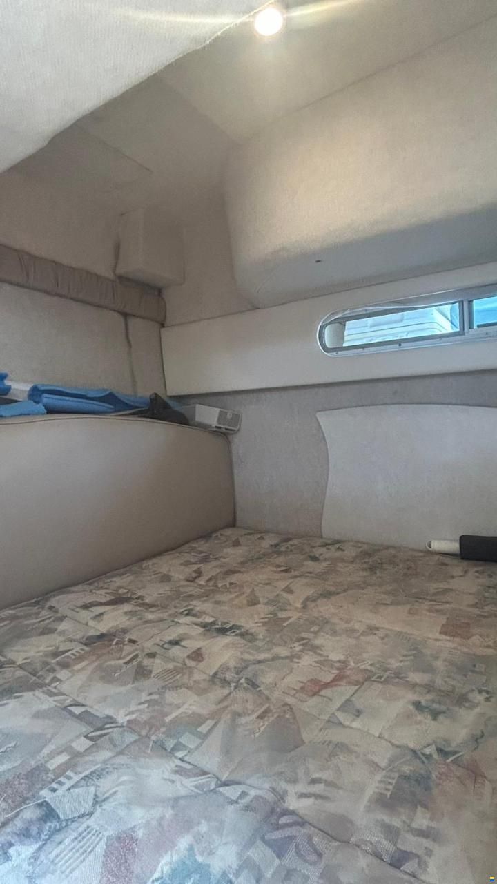 Bayliner 3055