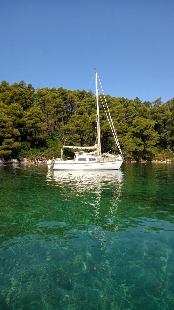 Cobramold Leisure 22