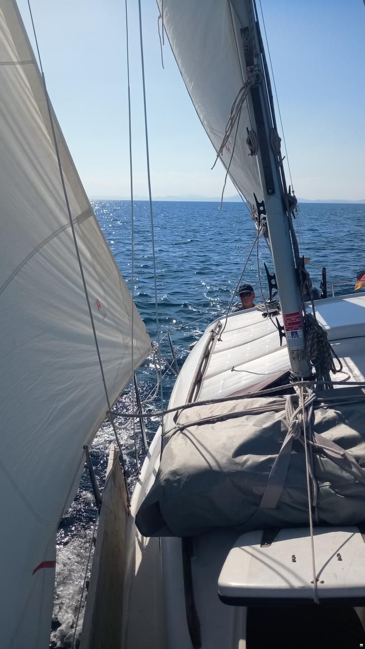 Cobramold Leisure 22
