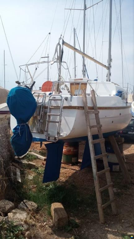 Cobramold Leisure 22