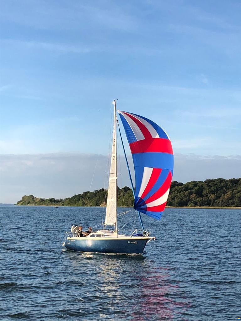 Delphia Sportina 680