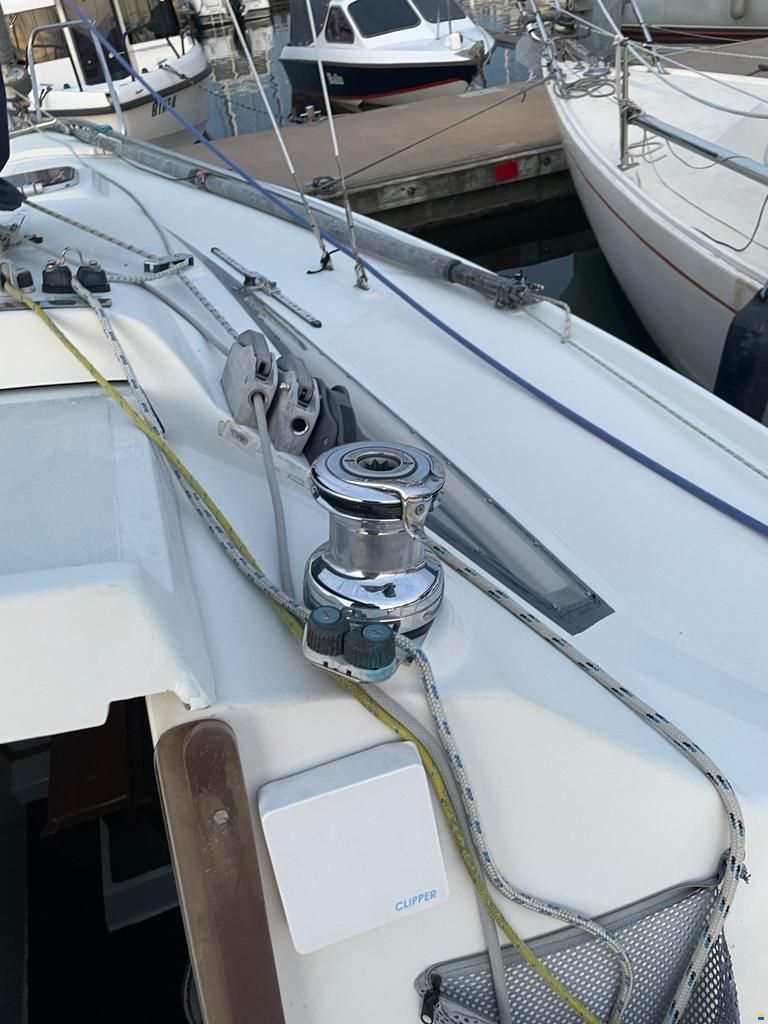 Delphia Sportina 680