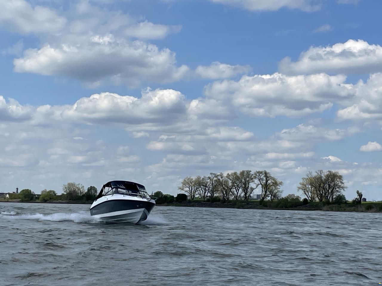 Coaster 600 DC