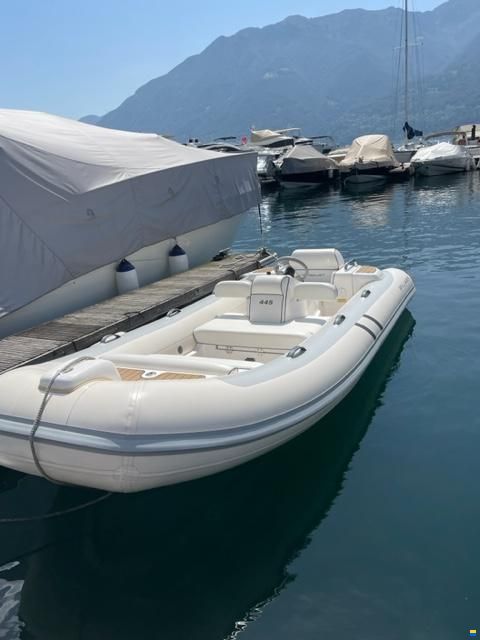 Williams Jet Tender 445