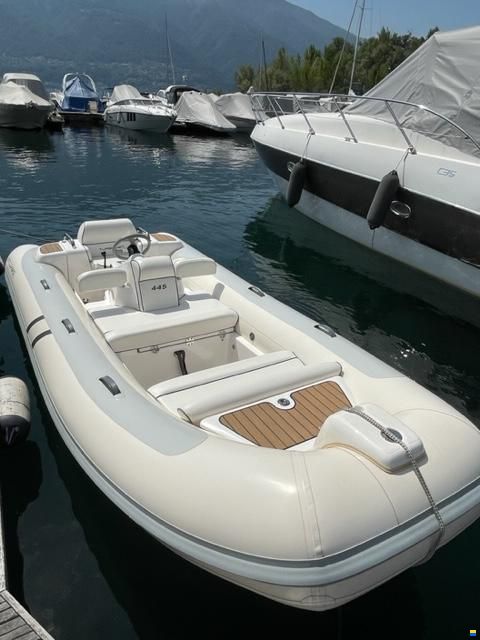 Williams Jet Tender 445