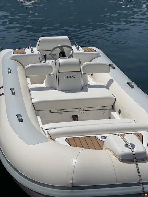 Williams Jet Tender 445