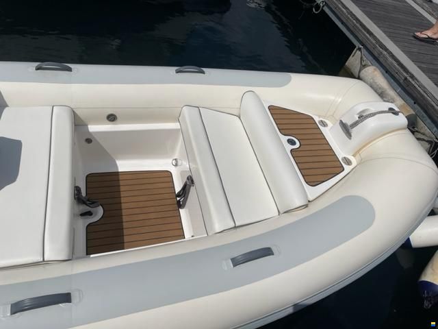 Williams Jet Tender 445