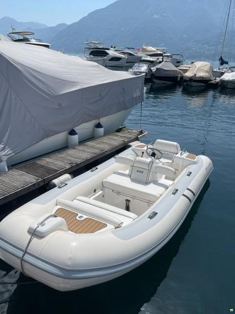 Williams Jet Tender 445