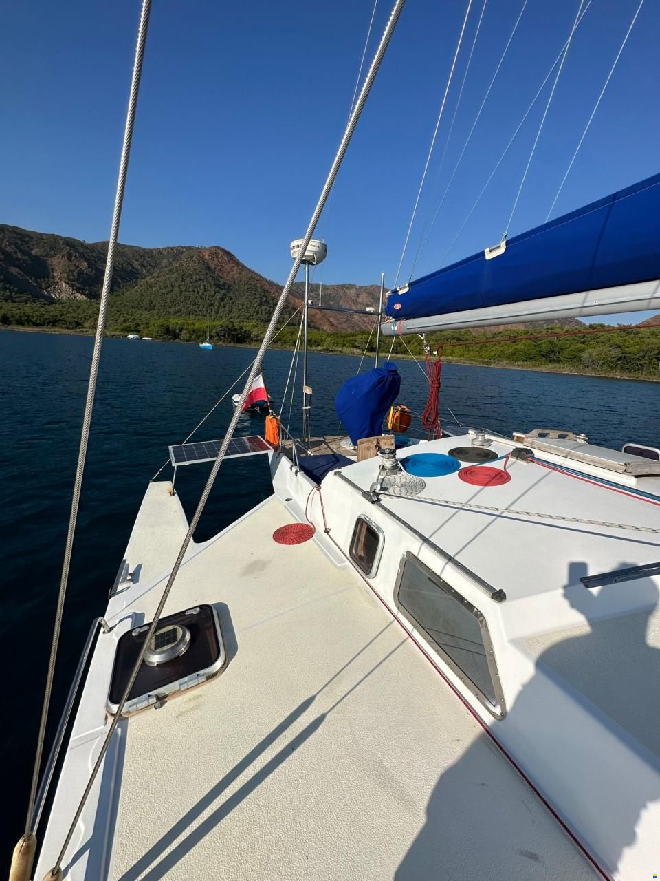 Hedley Nicol Design 40ft Trimaran