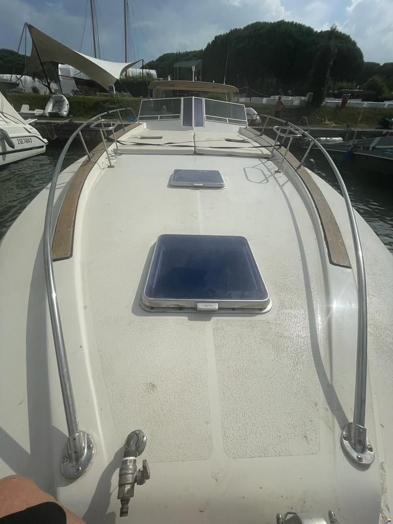 Cary marine 49