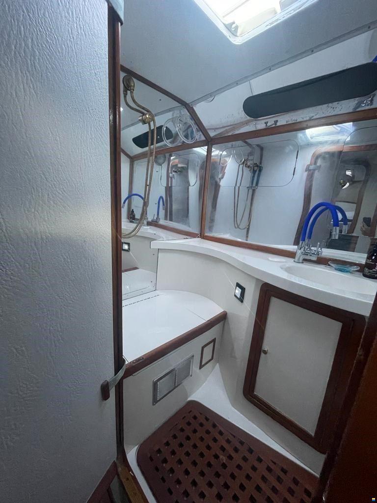 Cary marine 49